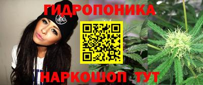 гашишное масло Малгобек