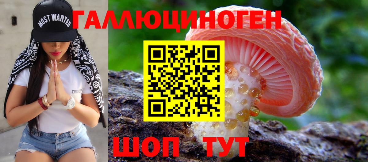 Горно-Алтайск  Псилоцибиновые грибы мицелий  Галлюциногенные грибы Cubensis  Вход с VPN 
