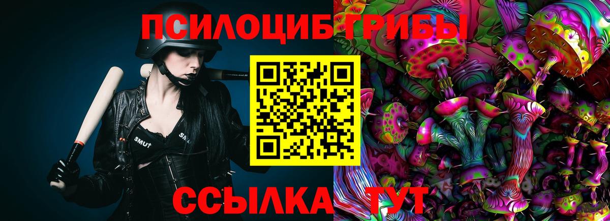 Галлюциногенные грибы Magic Shrooms Горно-Алтайск